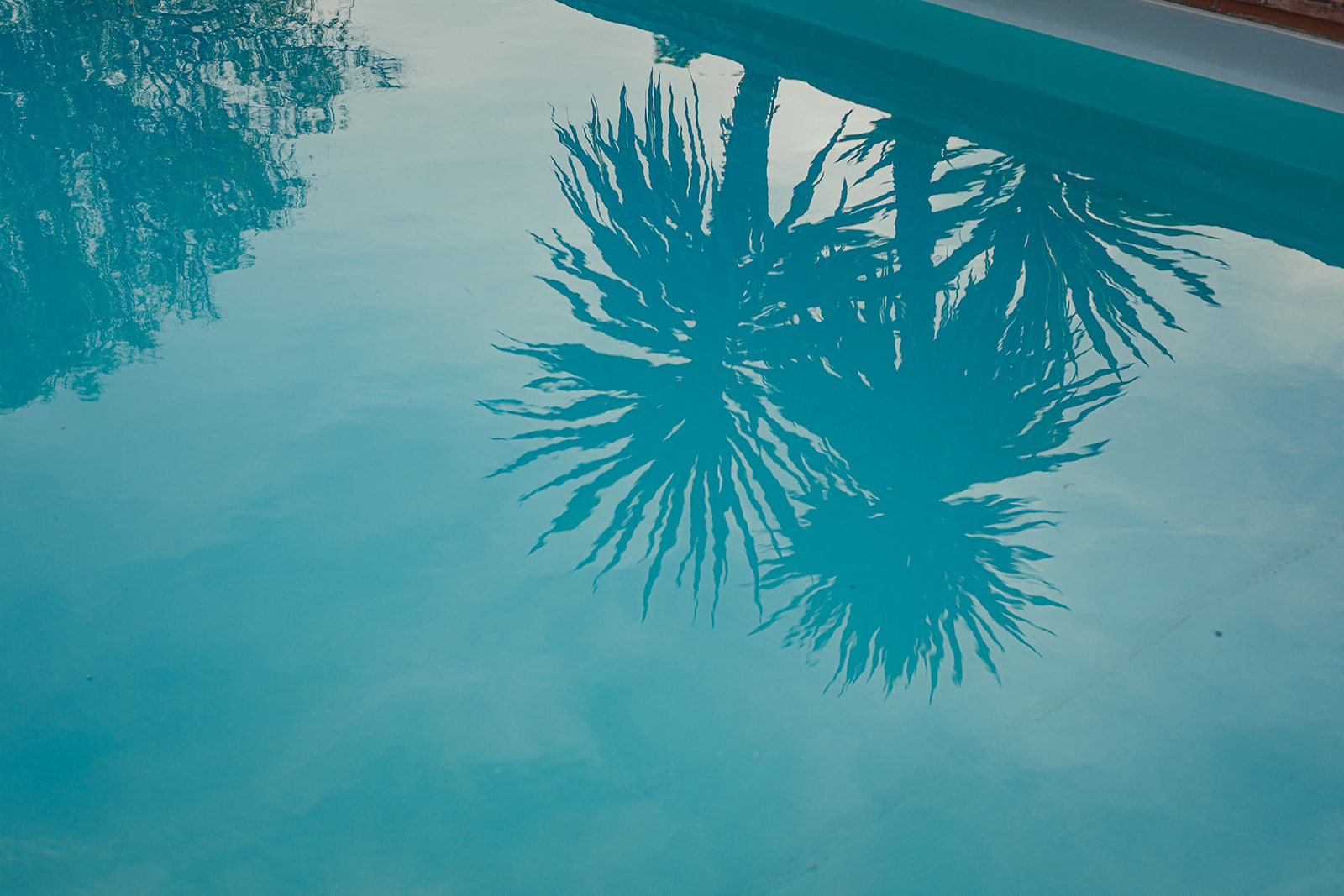 Maison des Arts - Maison vacances piscine et terrain de padel mirande gers - @Gascognecollection